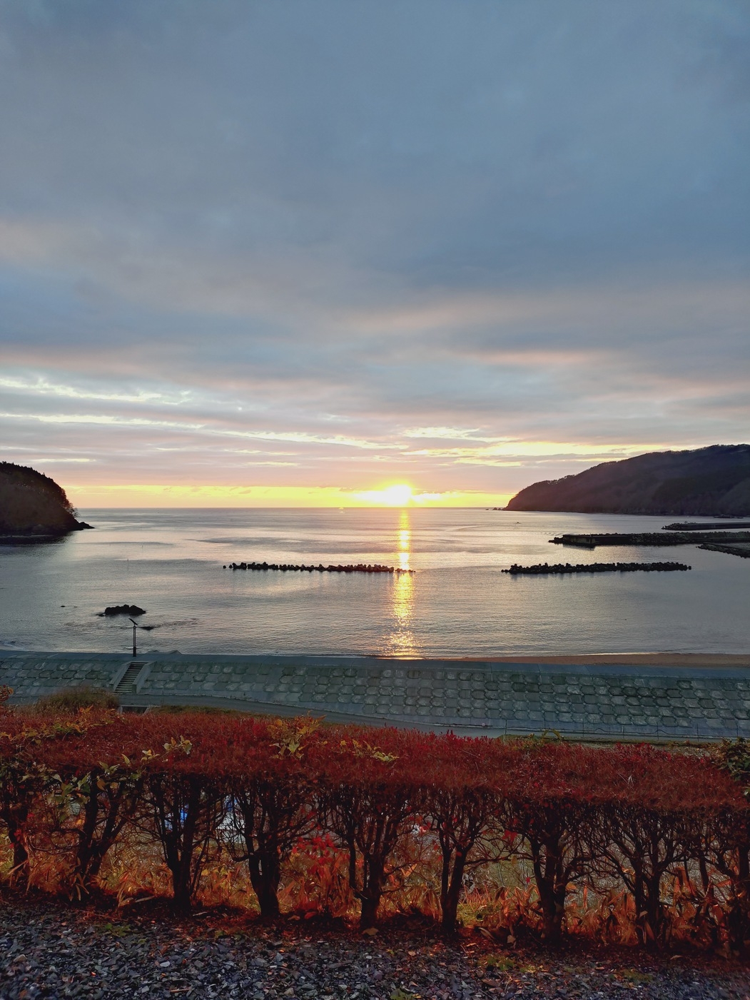 ♪　みちのく潮風トレイル　♪　限定プラン