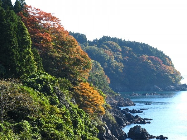 ♪　みちのく潮風トレイル　♪　限定プラン