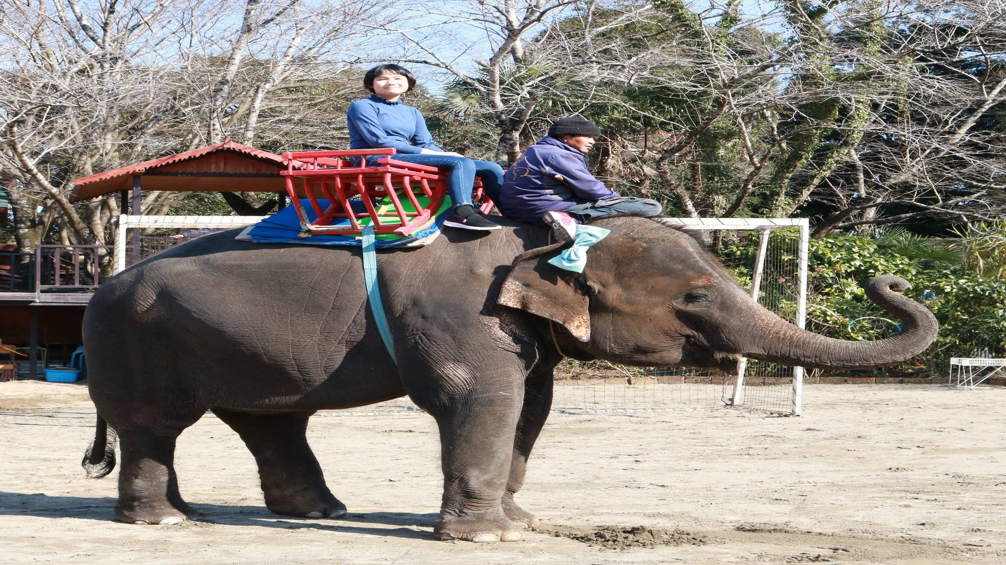 市原ぞうの国・サユリワールド