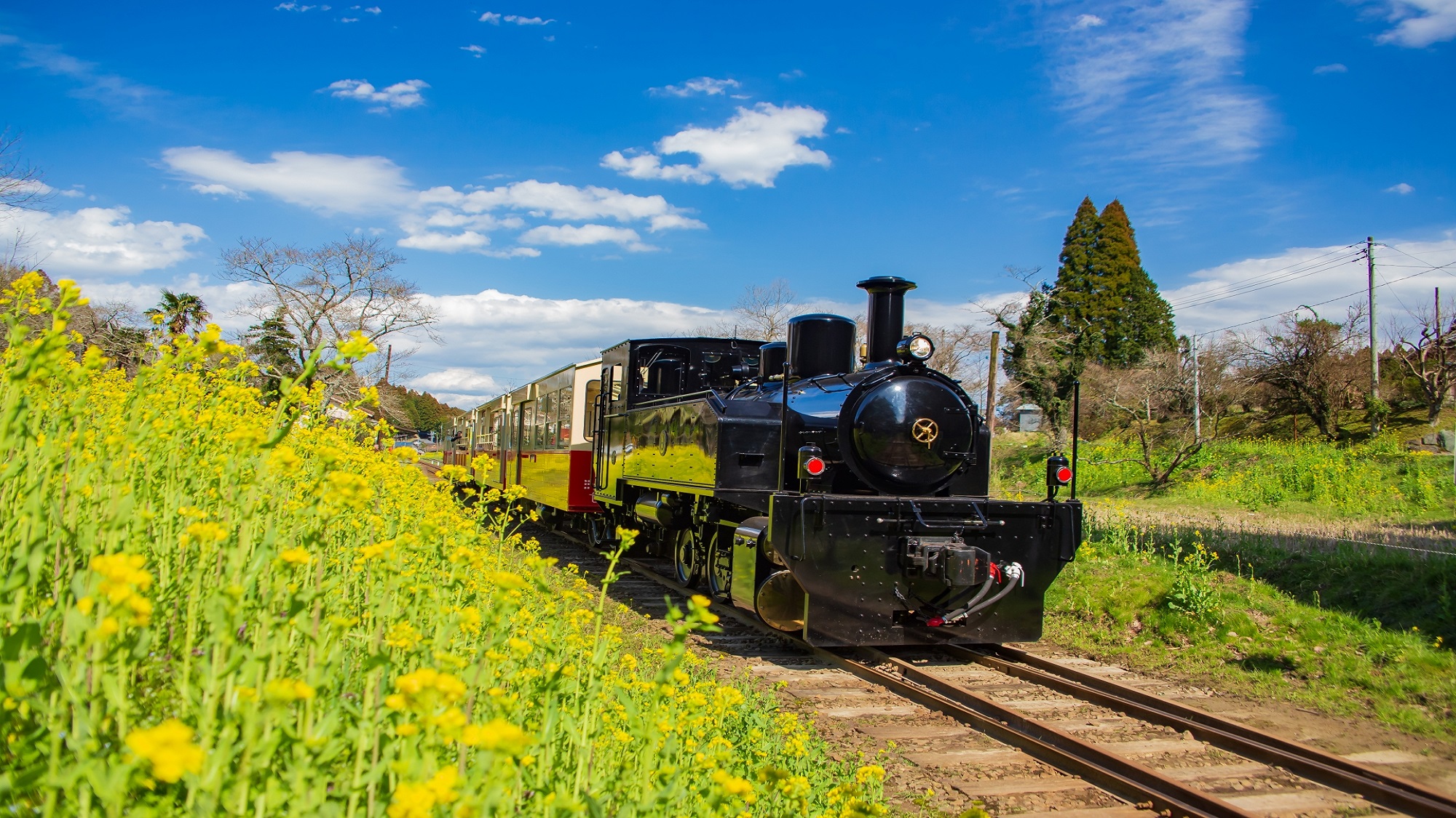 小湊鉄道・トロッコ列車