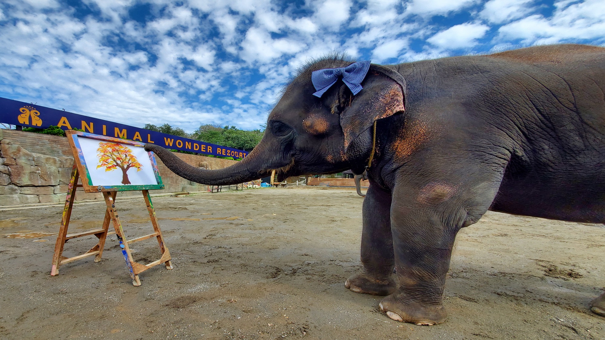 市原ぞうの国・サユリワールド