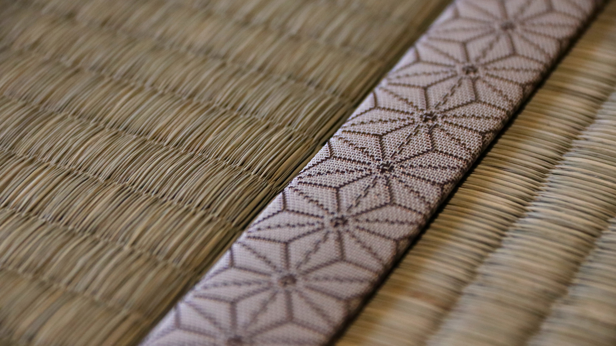 【館内イメージ】