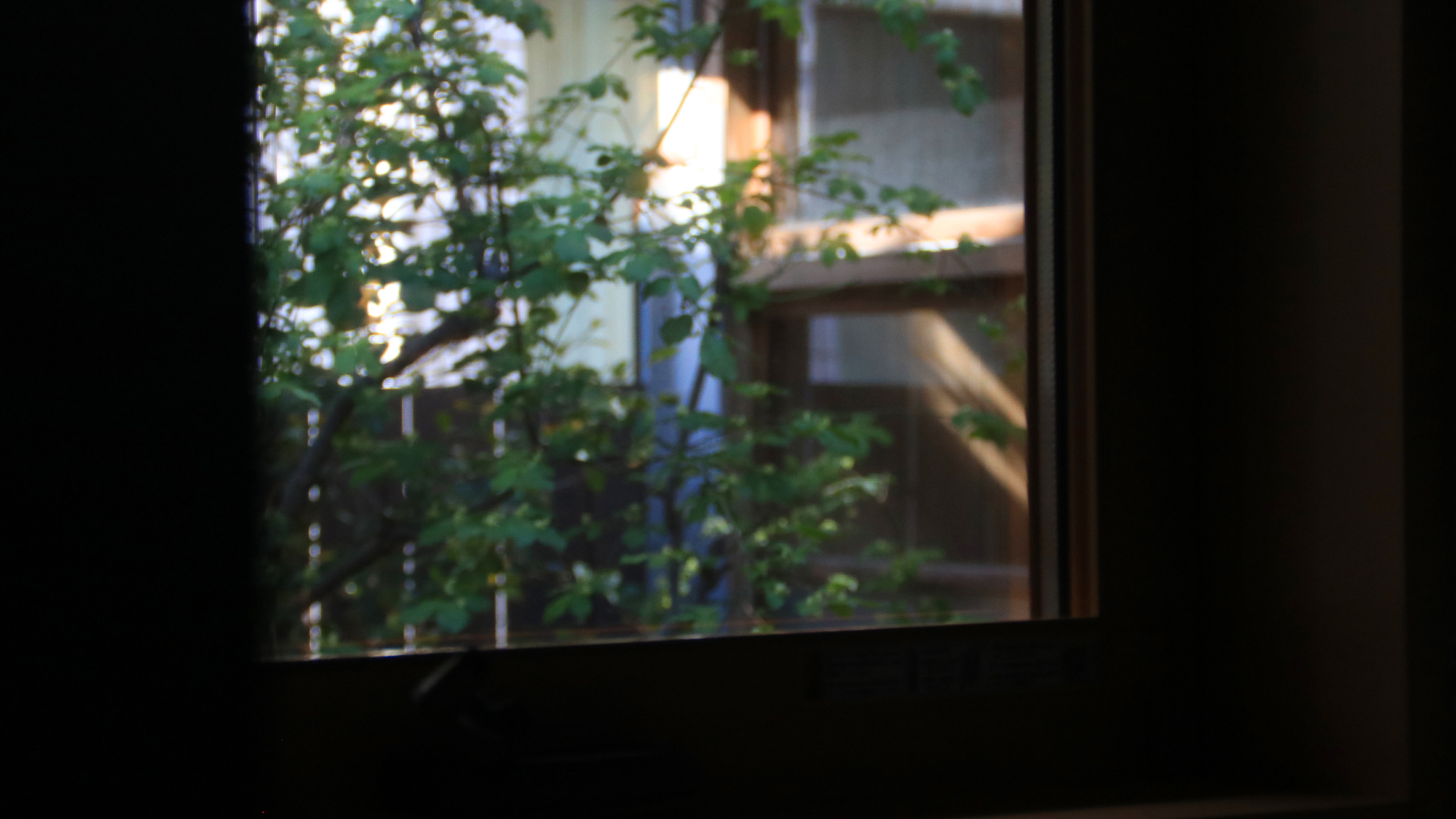 【群青の間】外の庭の風景