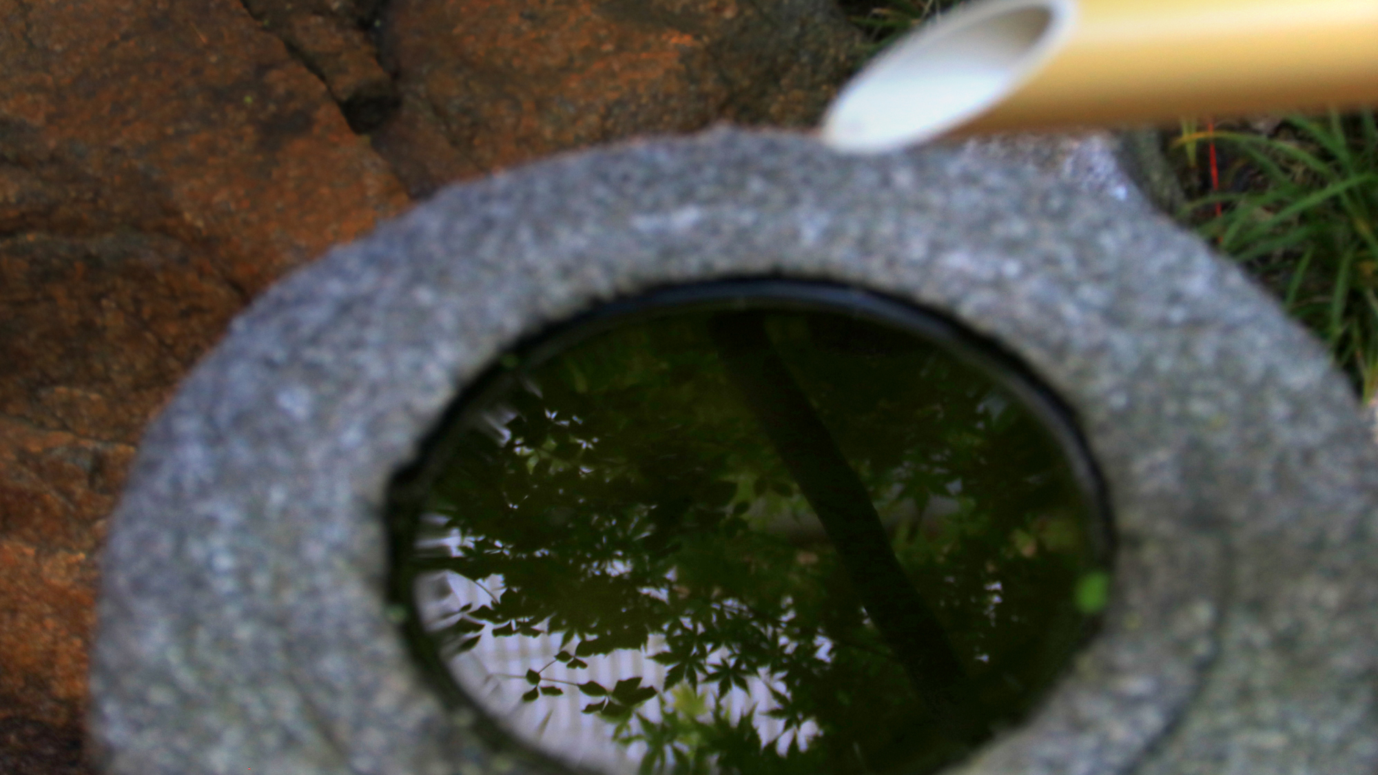 【群青の間】外の庭の風景