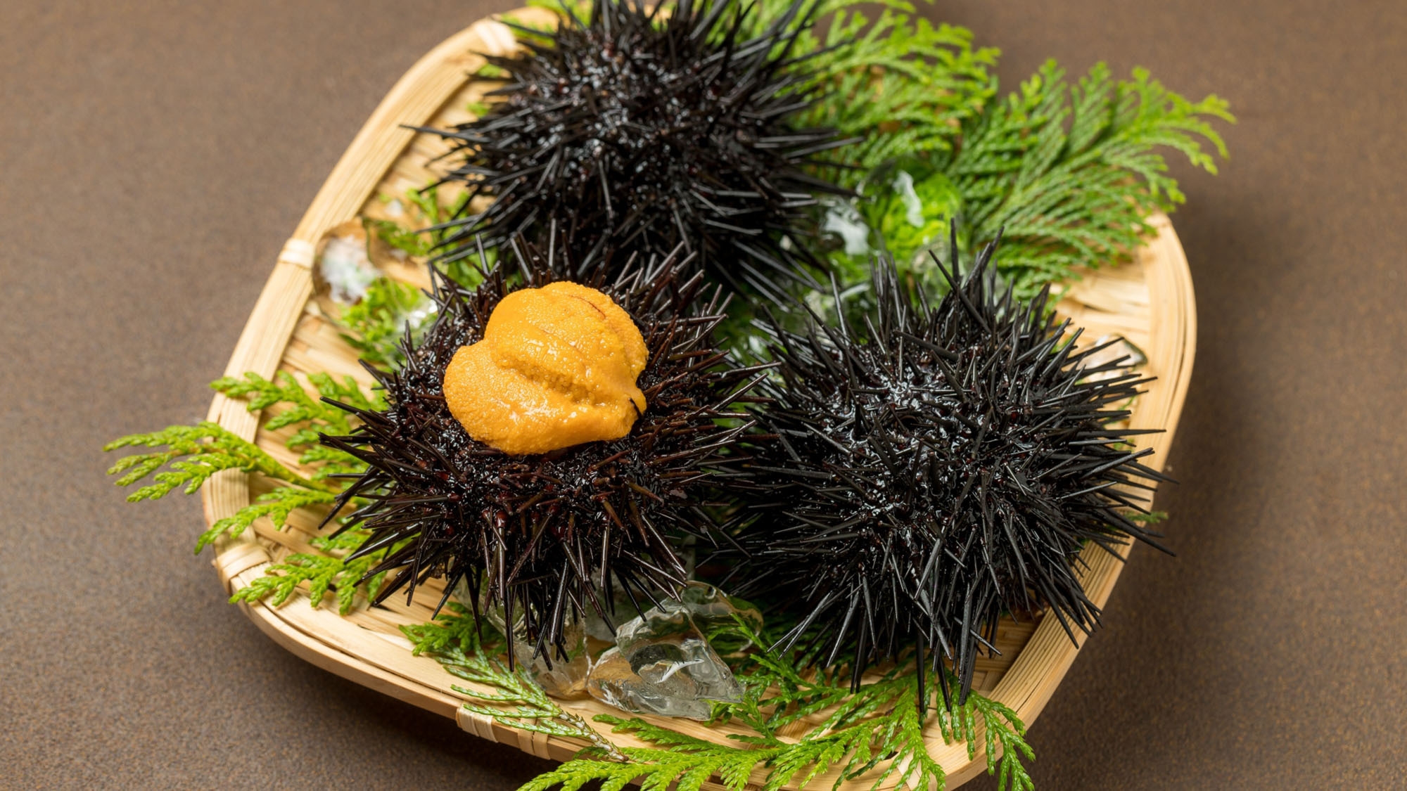 【期間限定】殻付き赤ウニサービスプラン【#壱岐グルメ】