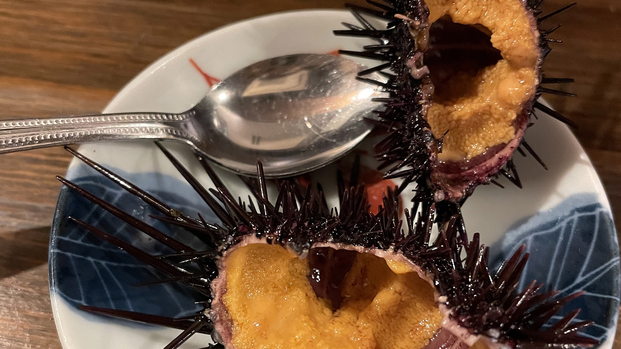 【期間限定】殻付き紫ウニサービスプラン【#壱岐グルメ】