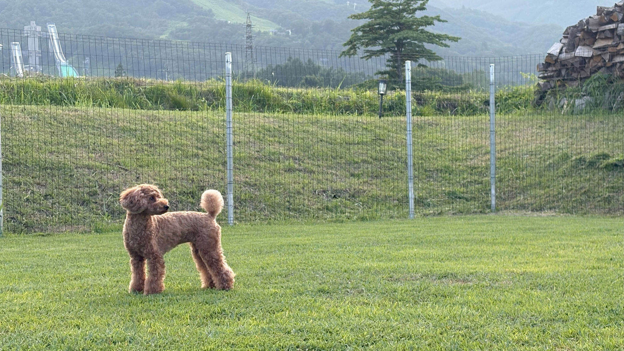 【連泊割10％OFF・素泊】3泊以上のご利用でお得に宿泊！白馬ステイを存分に楽しみたい方におすすめ