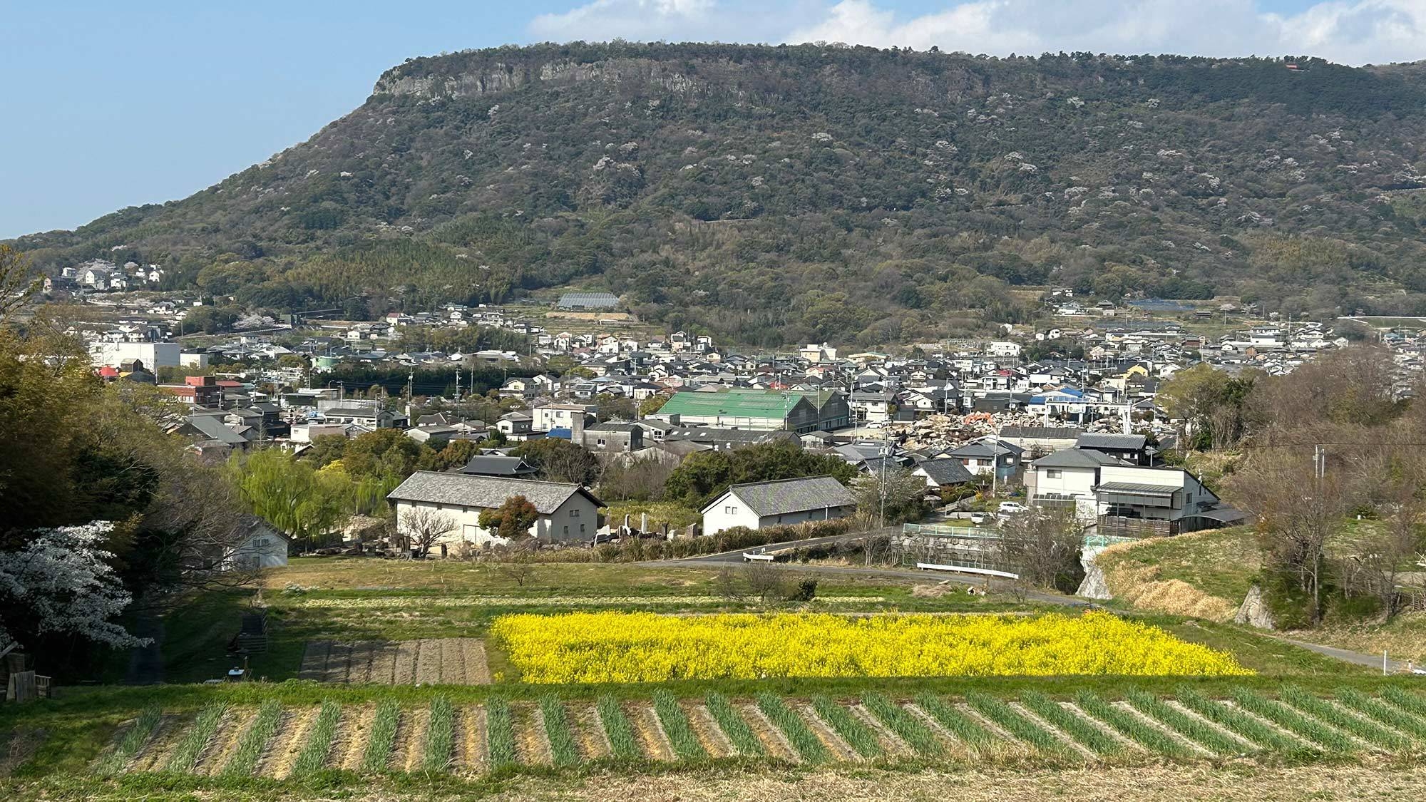 【Guided Walk】Noguchi’s Scenic Path Experience