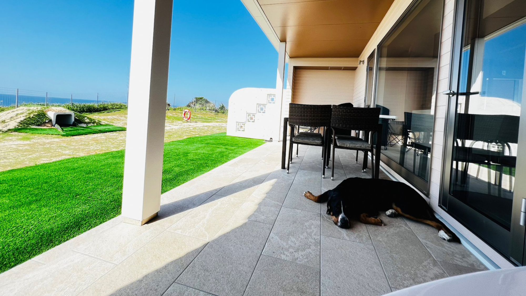 わんちゃん用のゲージ、ベッド、サークル、トイレなどアメニティも取り揃えています