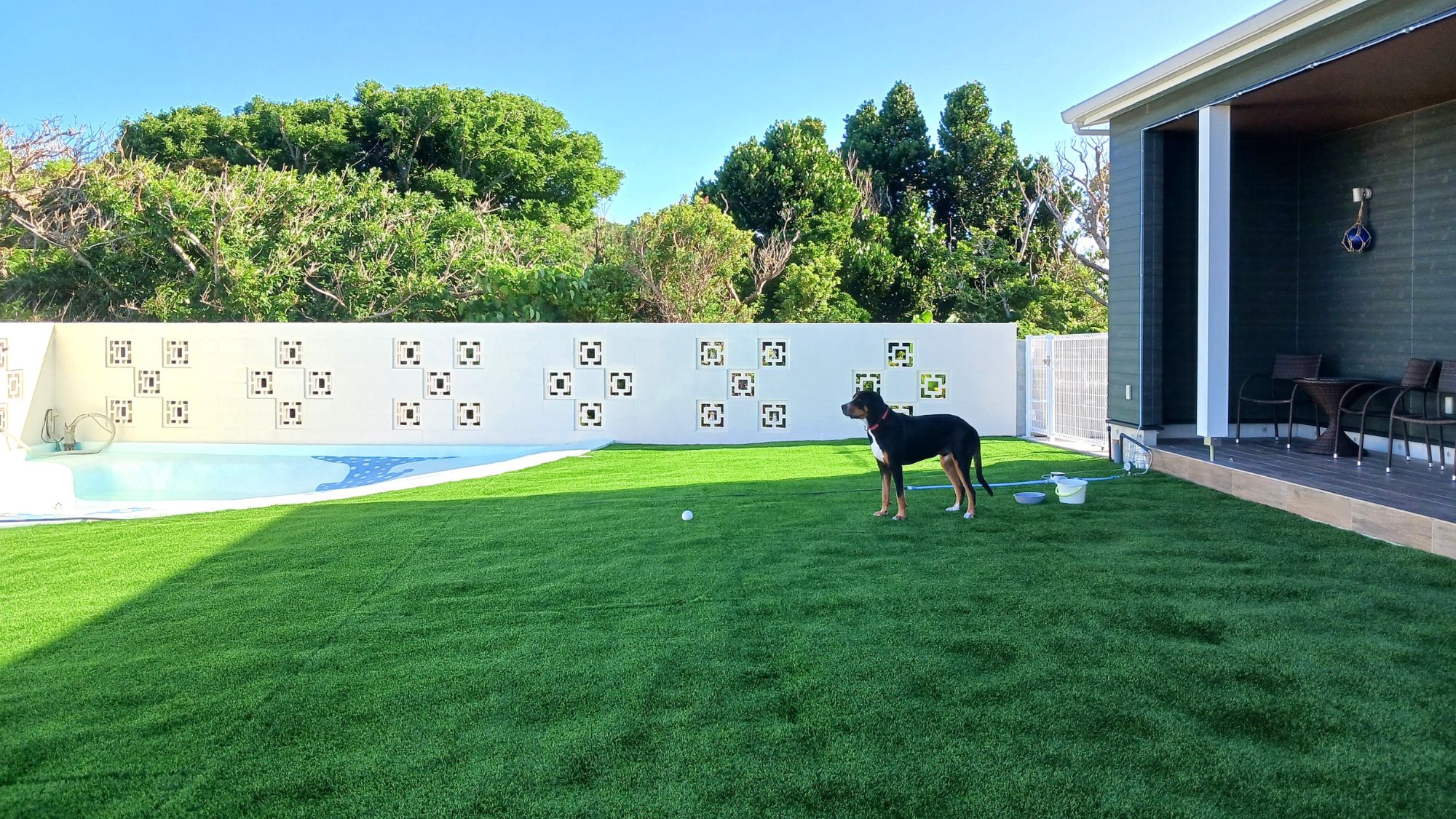 愛犬と一緒にのびのび遊べるドッグラン