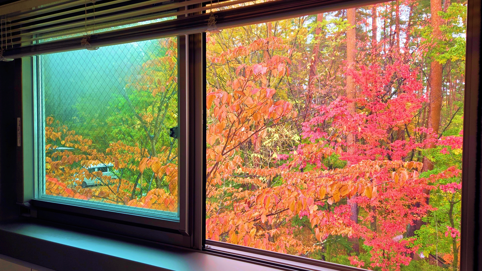 秋の安曇野　ゆっくり流れる時間をお楽しみください