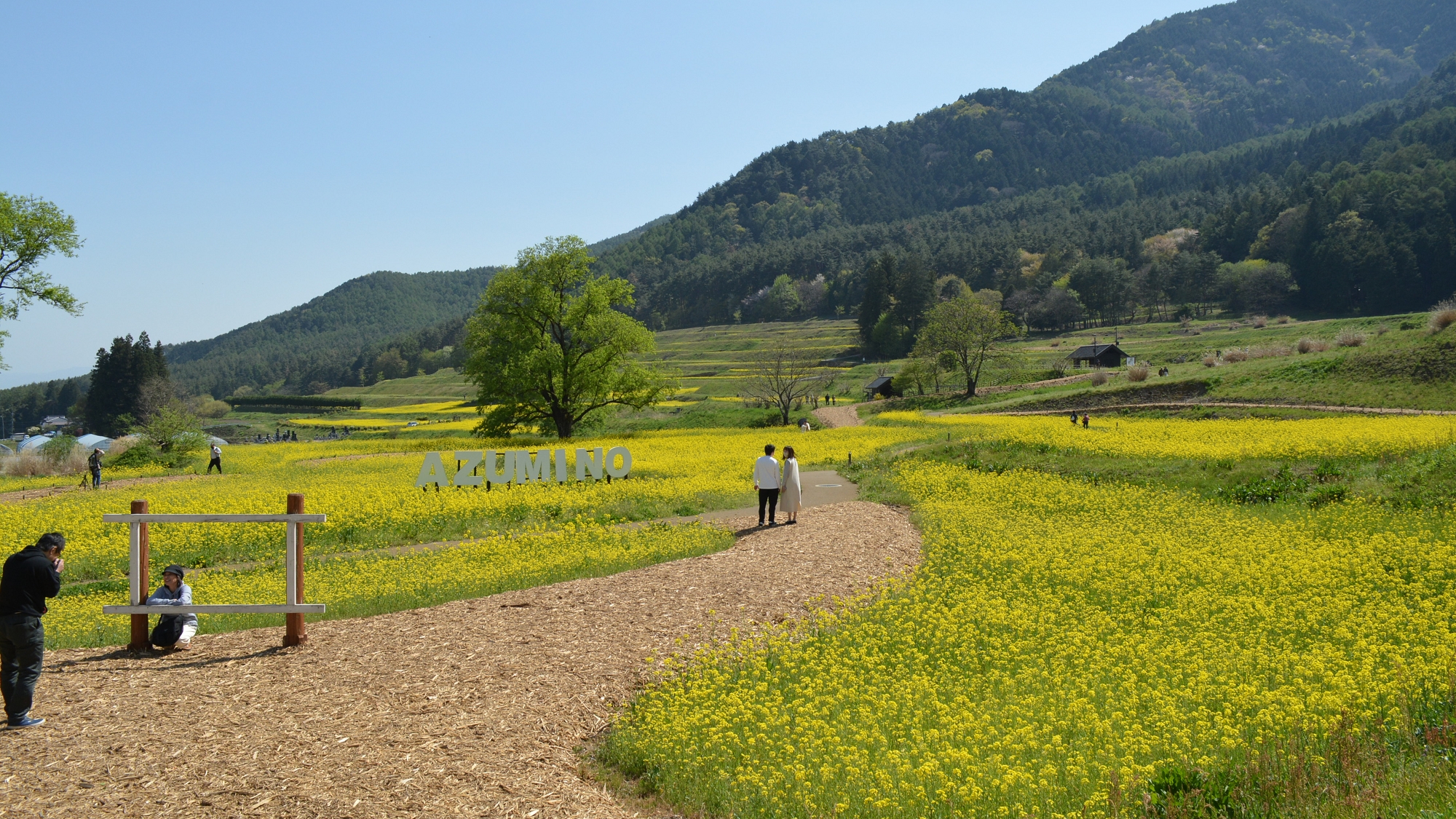国営アルプス安曇野公園　堀金穂高地区　お車で約10分