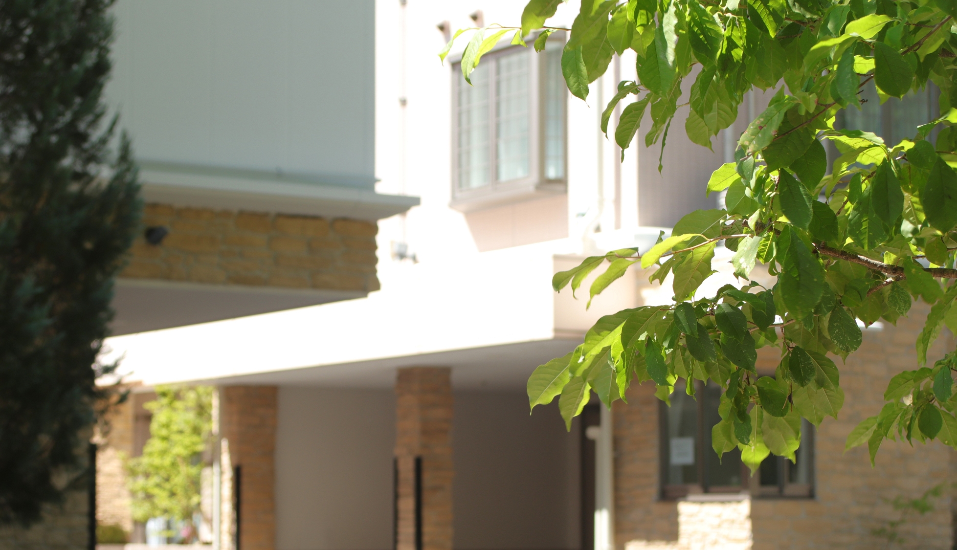 豊かな自然を感じながら、のんびりゆったり滞在をお楽しみくださいませ