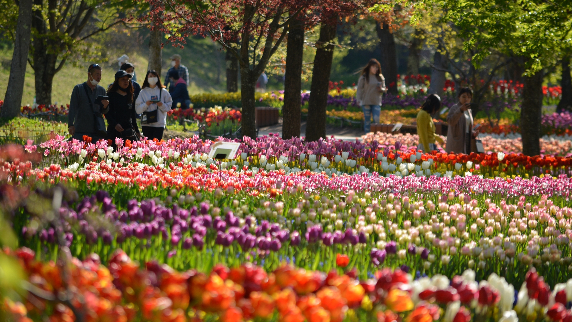 国営アルプス安曇野公園　堀金穂高地区　お車で約10分