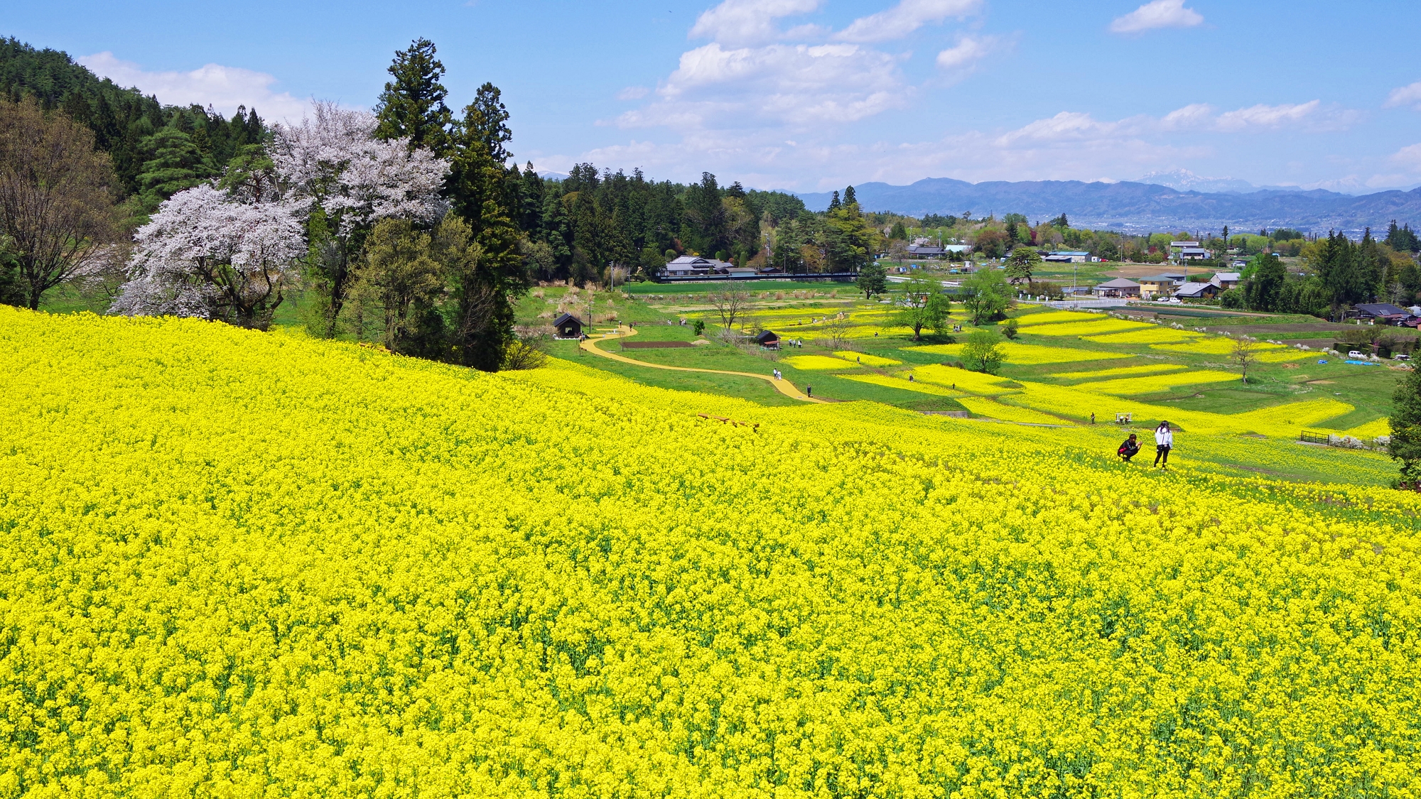 国営アルプス安曇野公園　堀金穂高地区　お車で約10分