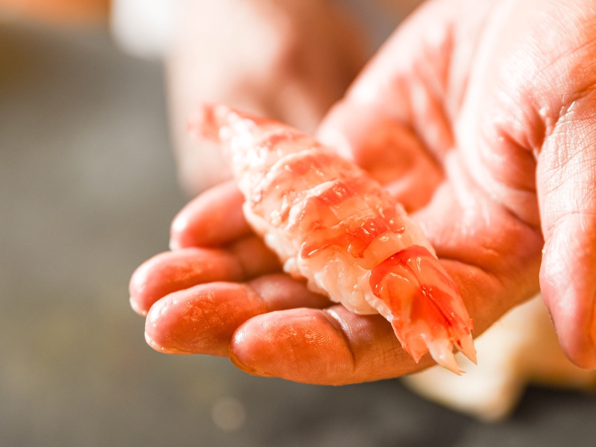 【2食付き】職人が眼の前で寿司を握る寿司割烹コース（1日1組限定）