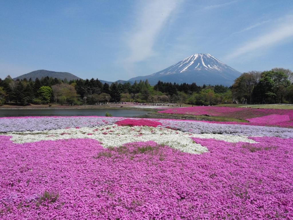 春の富士山
