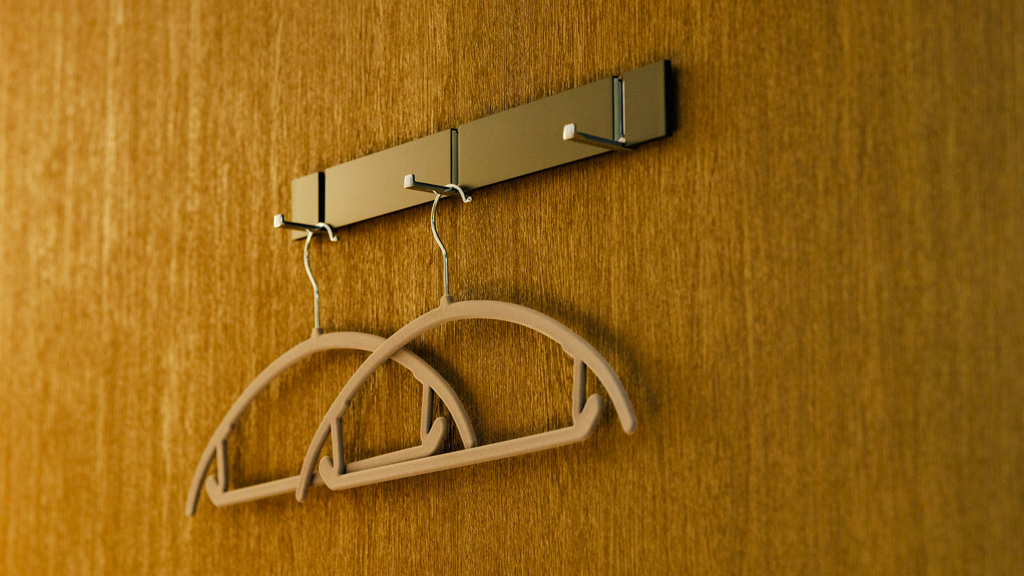 【備品】各キャビン内にハンガーとフックがありますので、お洋服もシワにならずに保管いただけます。