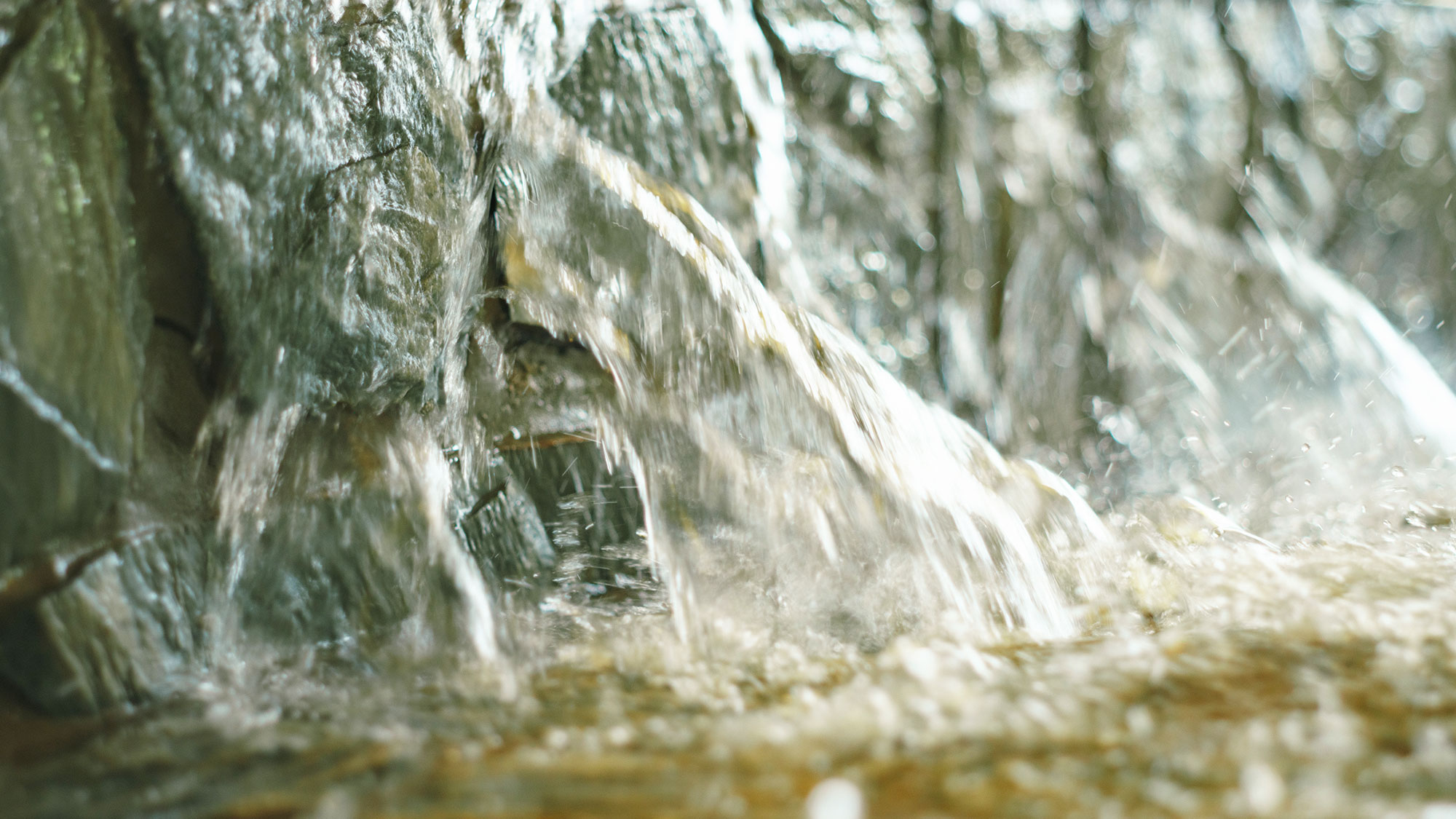 【最高の湯／水風呂】サウナから水風呂へはスムーズに移動できるよう設計されています。