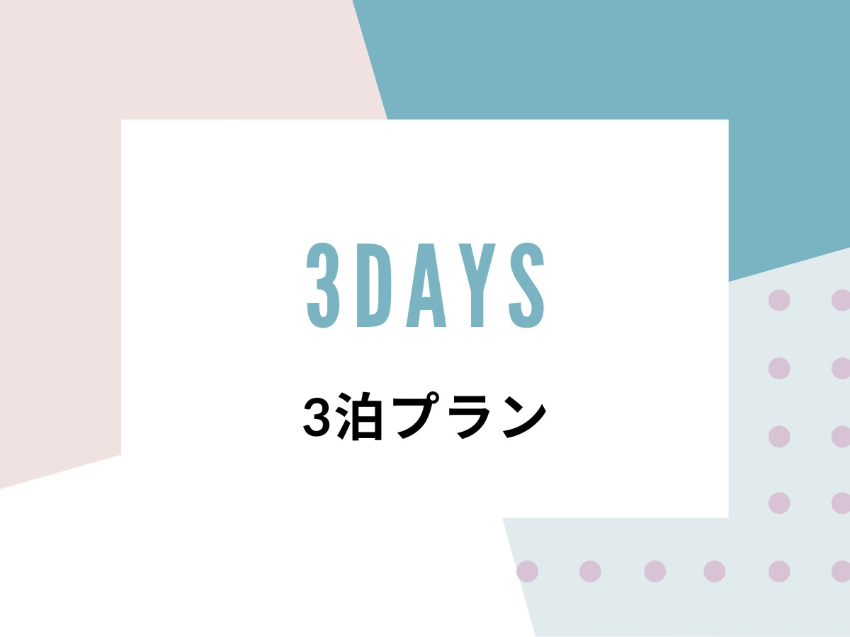 スタンダードプラン／素泊まり【3泊】