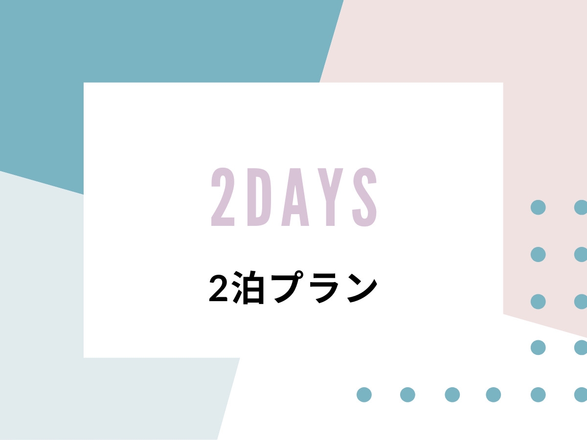 スタンダードプラン／素泊まり【2泊】