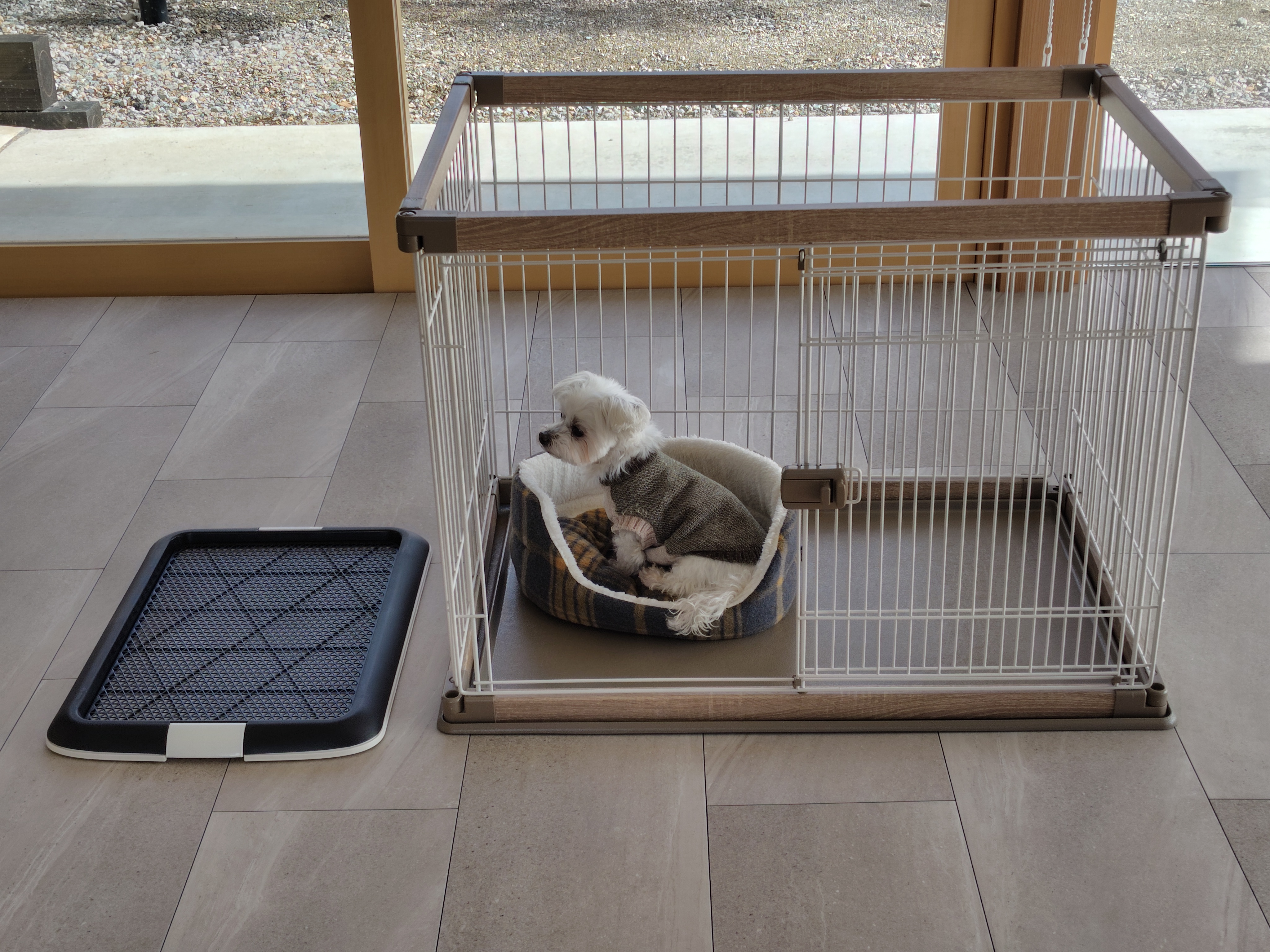 ペット用貸出備品（サークル、トイレトレー）