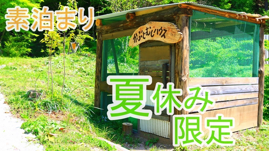 【素泊まり】「野菜収穫体験×花火」ポレポレVillageで大自然を満喫☆《夏休み限定》