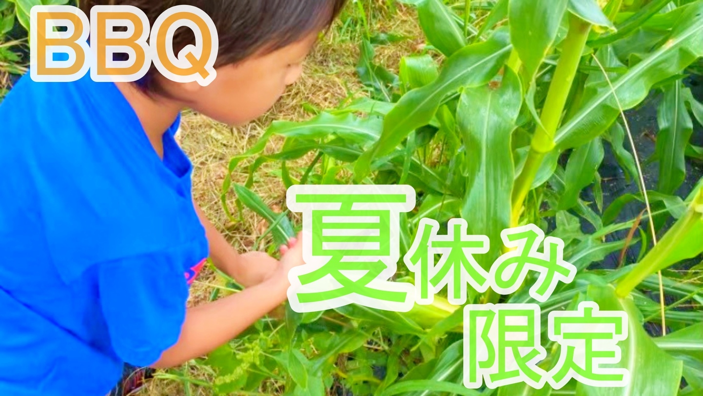 【1泊2食】「BBQ×野菜収穫体験×花火」ポレポレVillageで大自然を満喫☆《夏休み限定》
