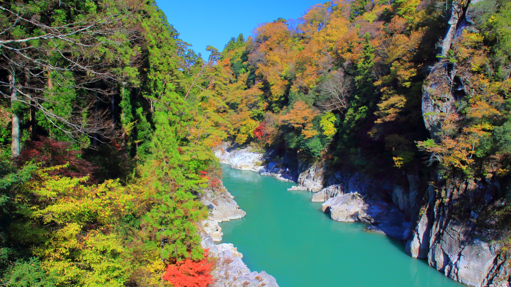 【周辺】天竜川。車で約30分