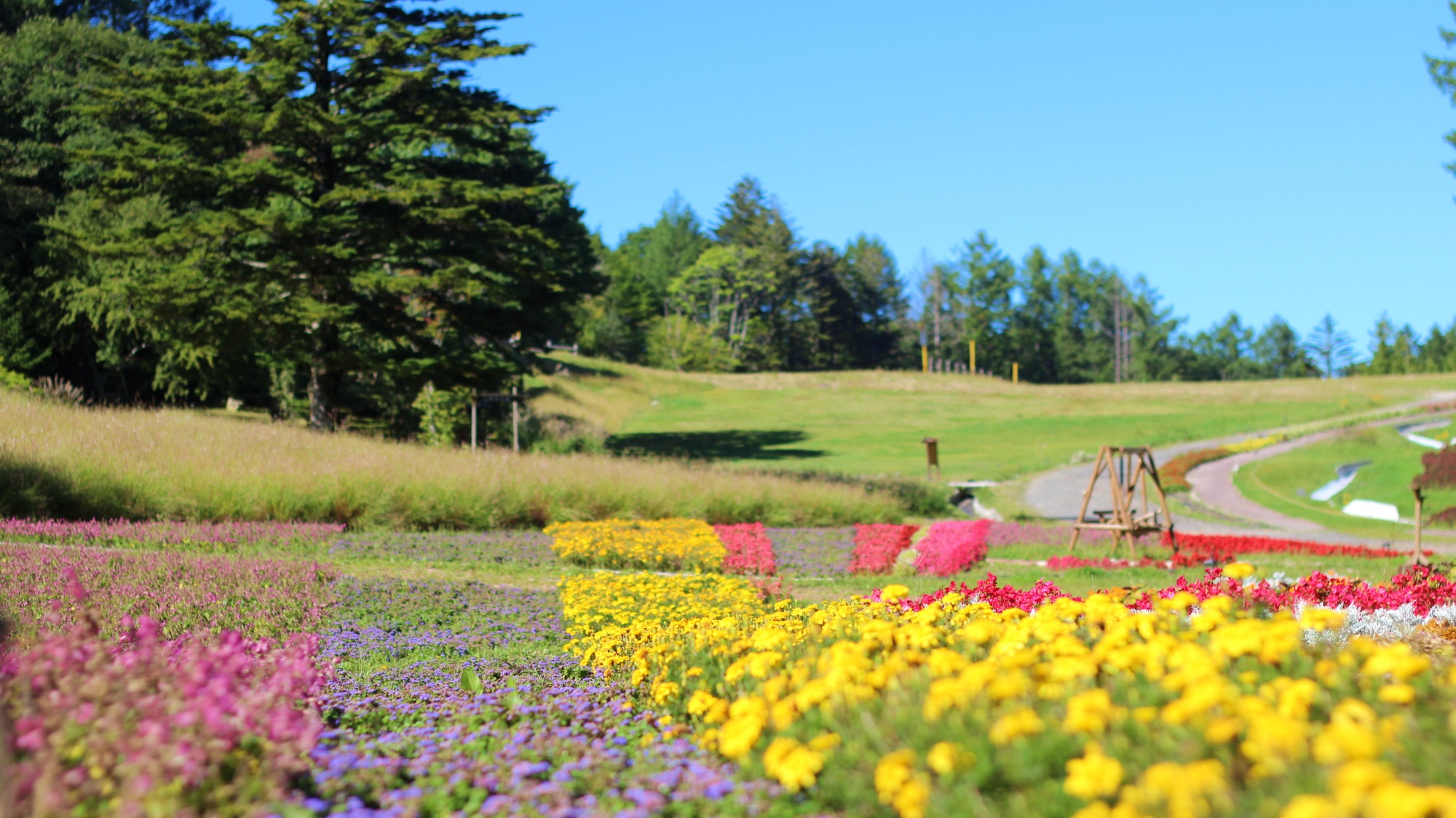 【周辺】ヘブンスそのはら。車で約60分