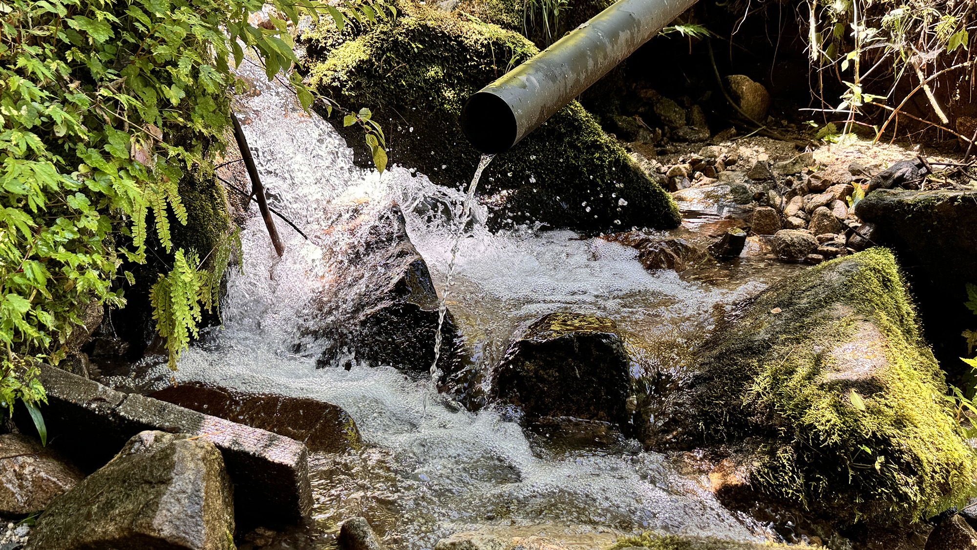 【施設】キャンプエリア　 湧き水は検査済みで飲料OK