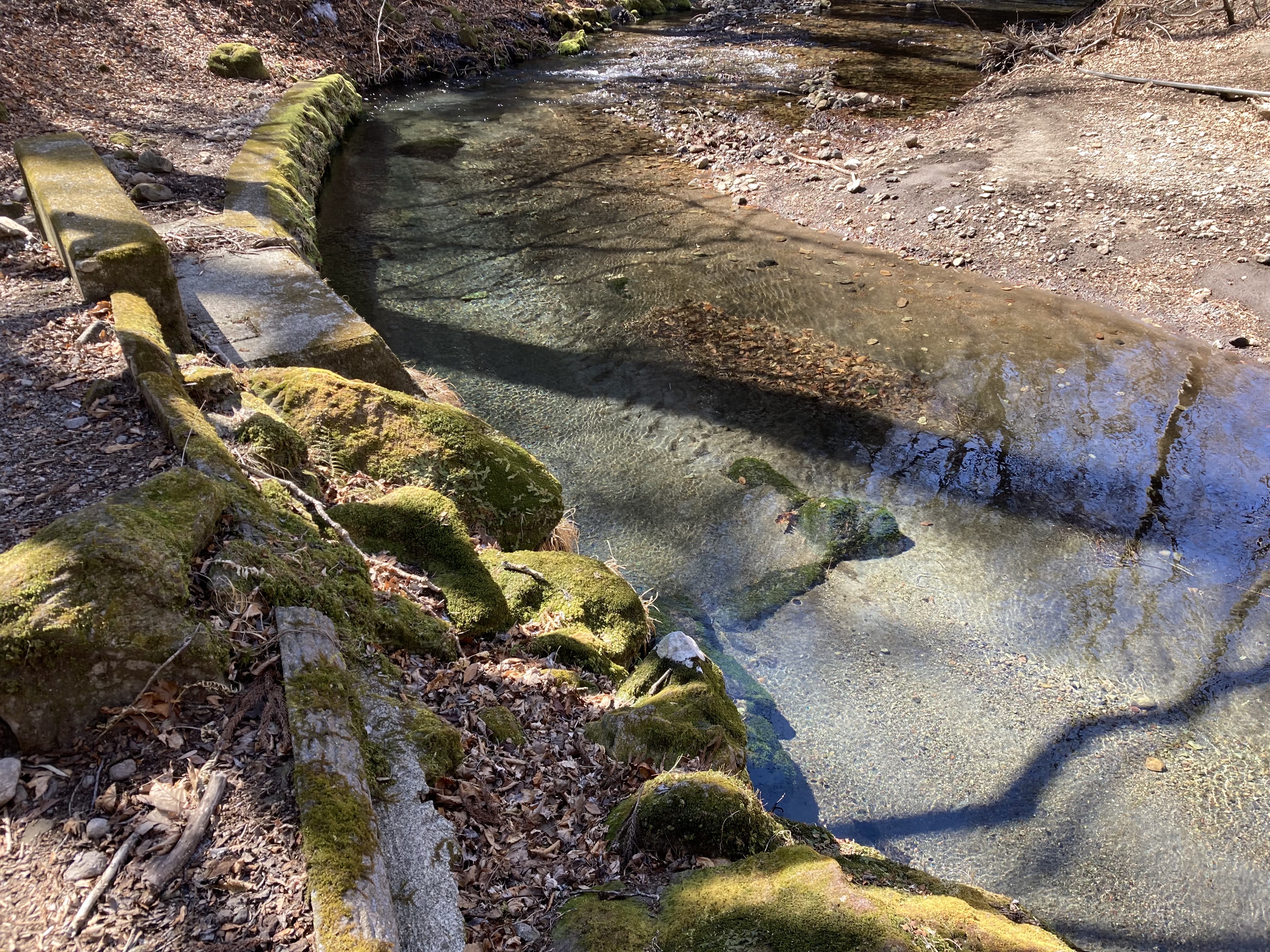 男池（湧水地）
