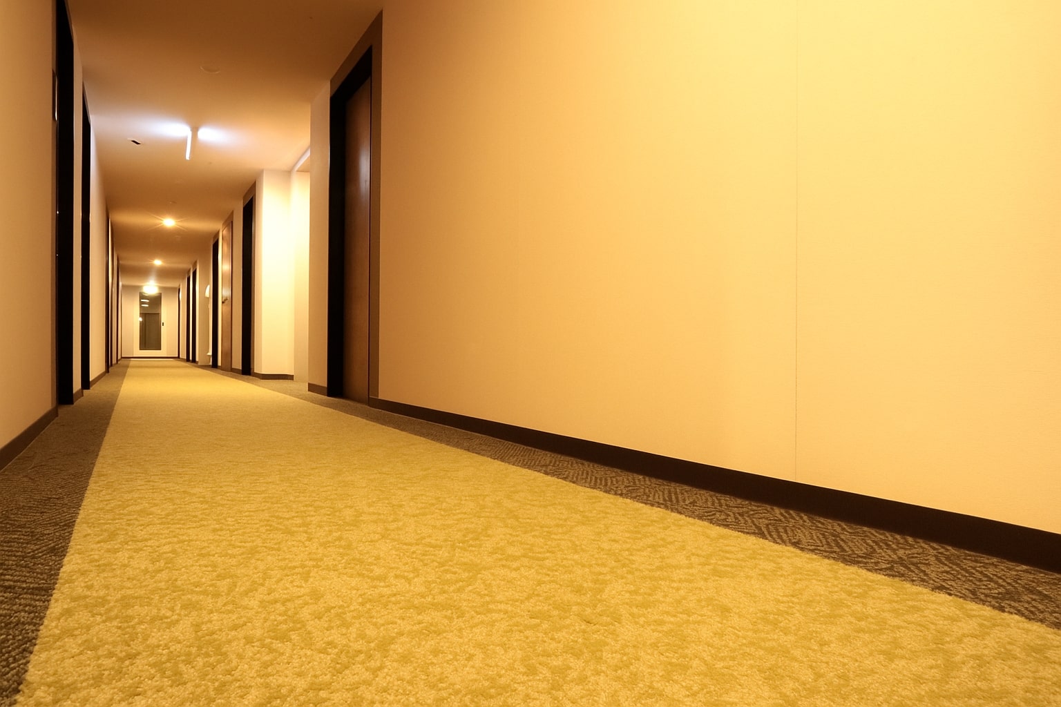 客室廊下：こだわりのデザインをお楽しみください。