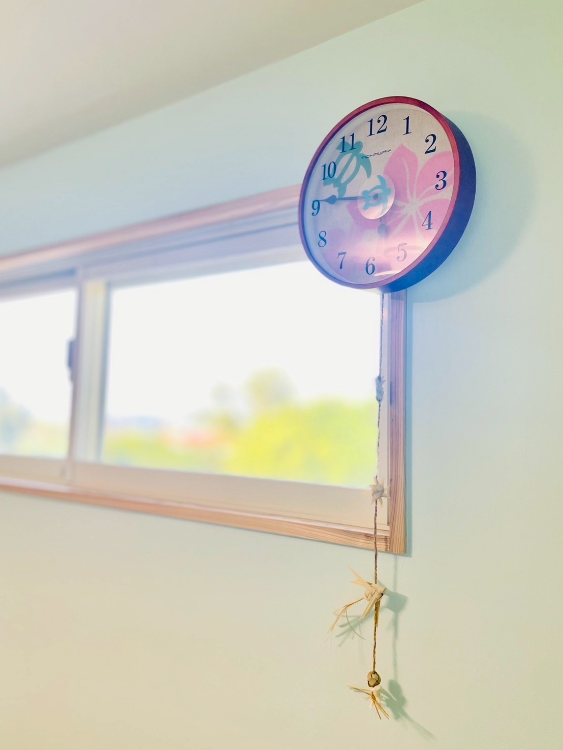 夜は窓から綺麗な星が見えます。