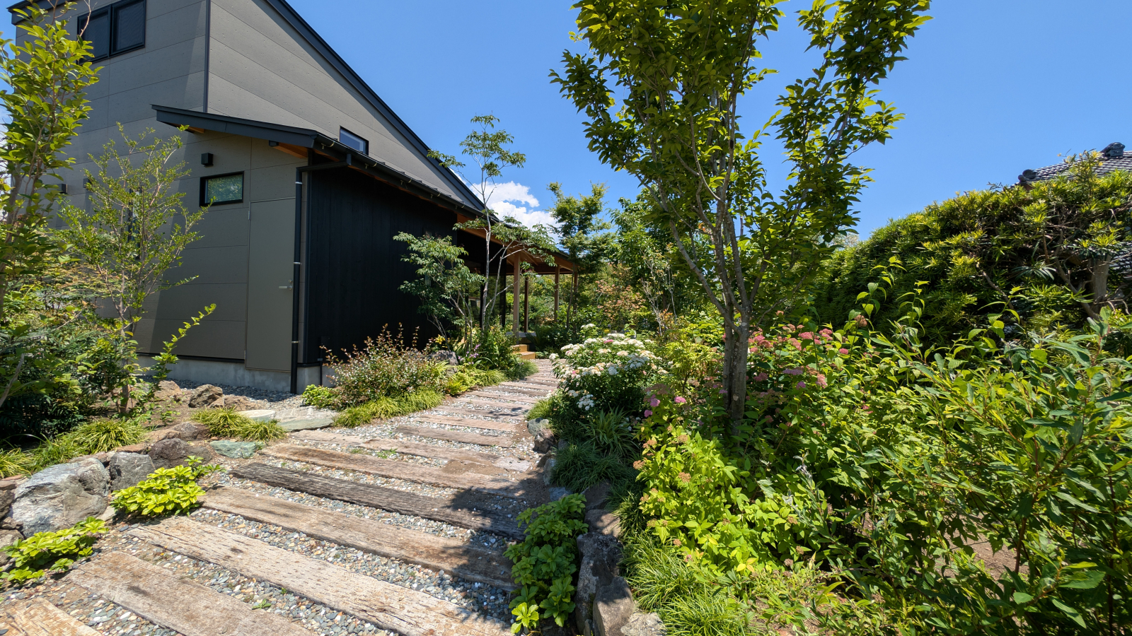 うら庭夏の入口風景