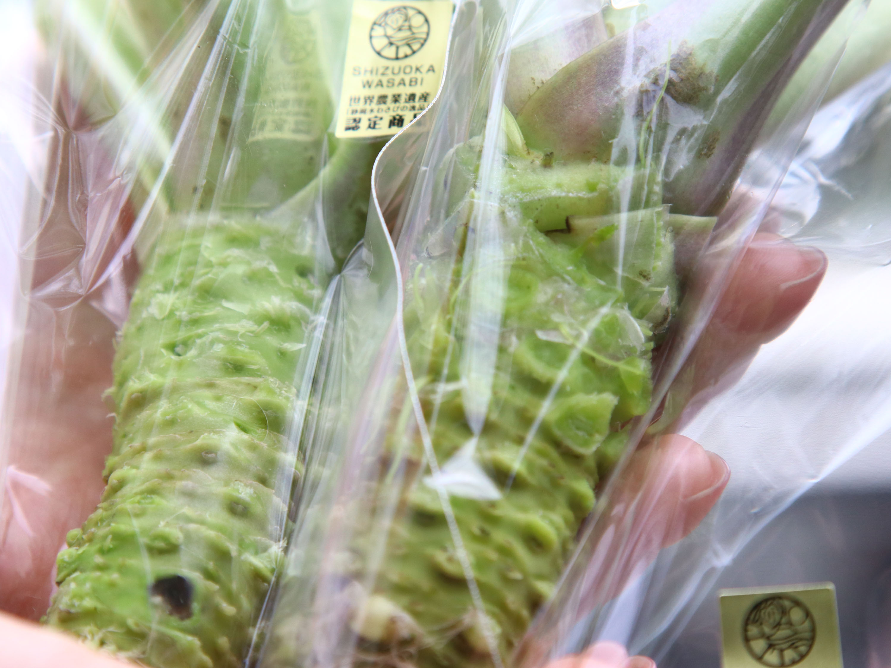 【期間限定】わさび2本プレゼント！