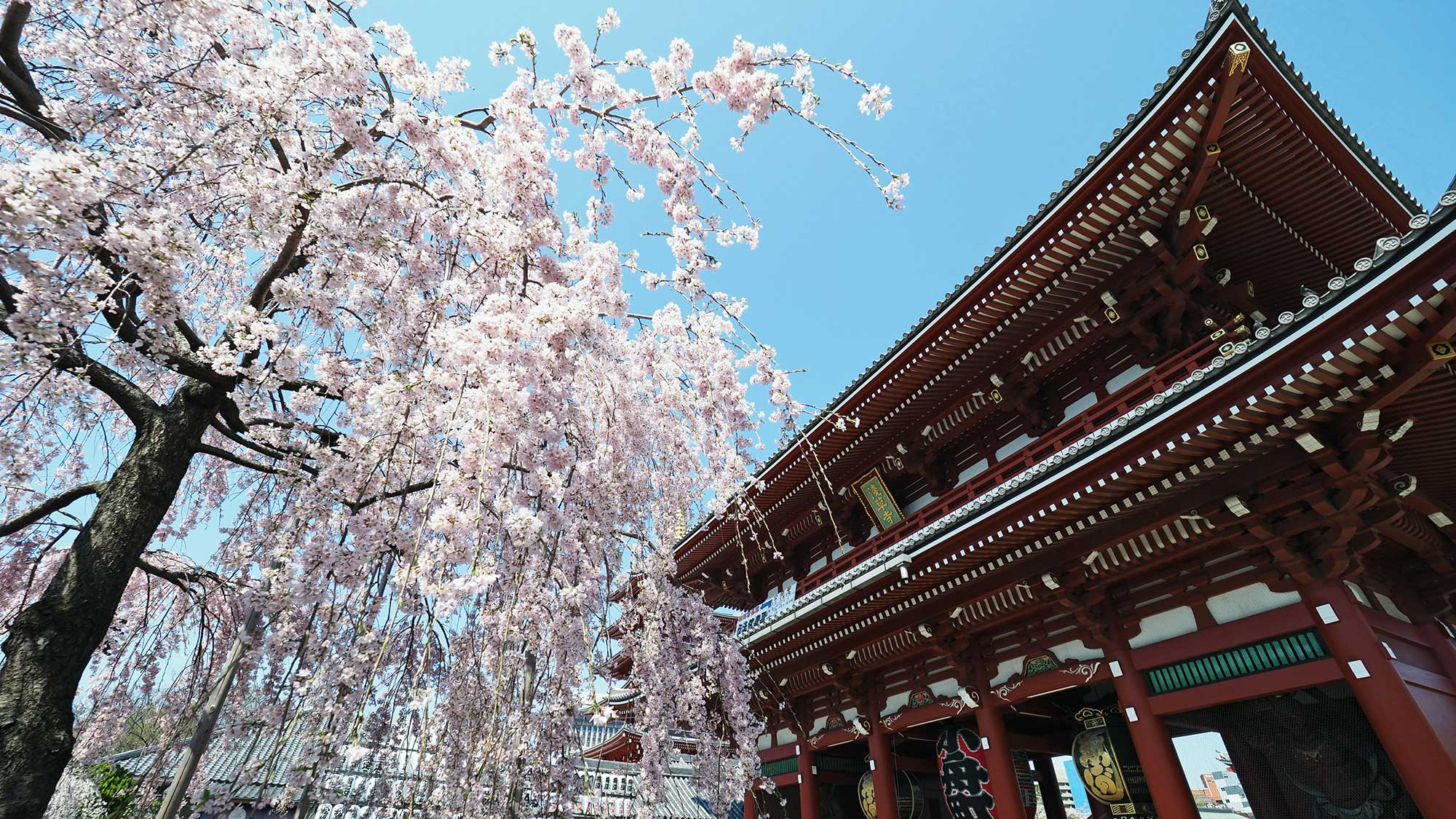 ＨＯＴＥＬ　ＷＩＮＤＳ　ＡＳＡＫＵＳＡ　Ｃａｐｓｕｌｅ　Ｉｎｎ - 写真 85