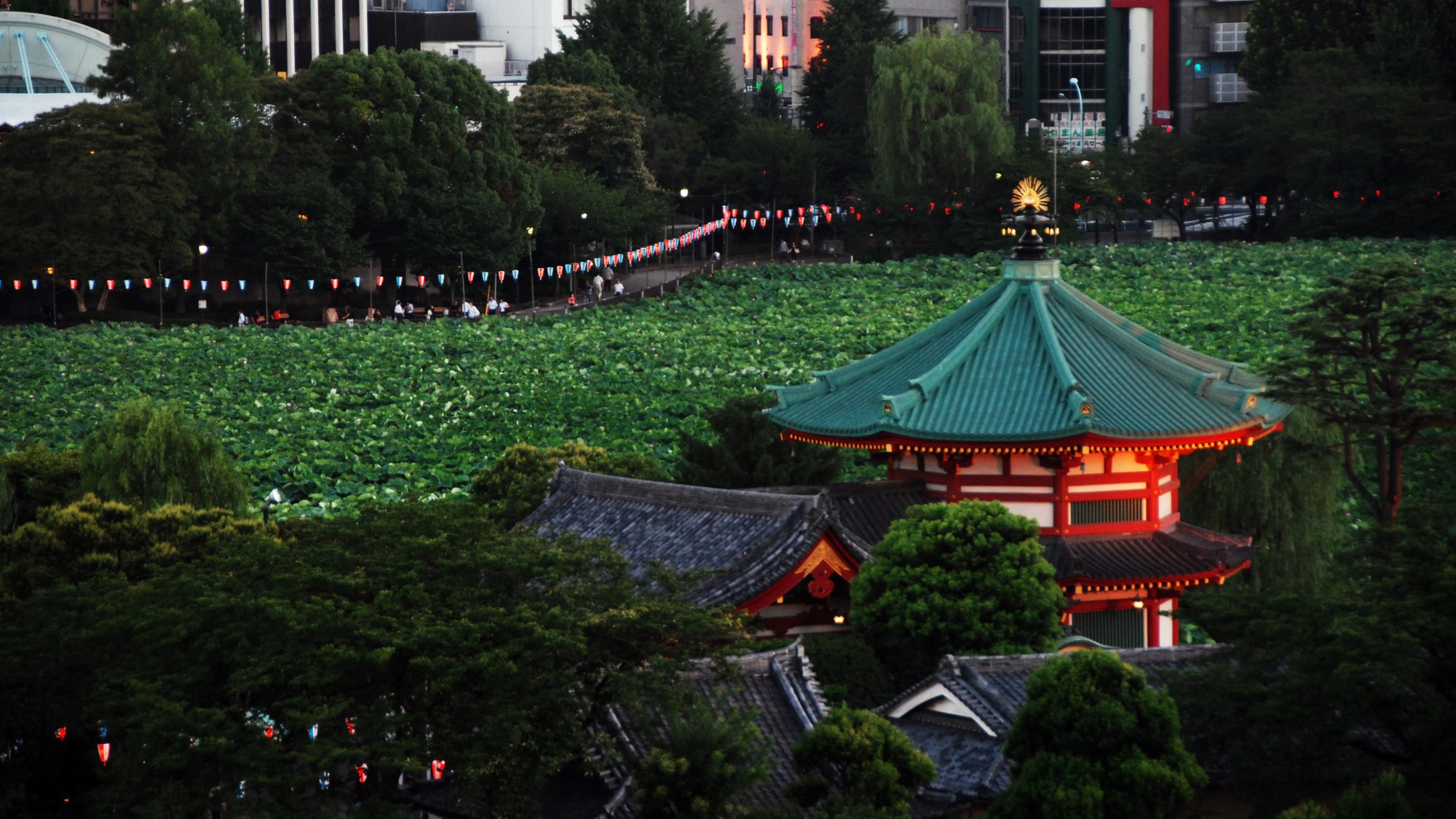 ＨＯＴＥＬ　ＷＩＮＤＳ　ＡＳＡＫＵＳＡ　Ｃａｐｓｕｌｅ　Ｉｎｎ - 写真 81