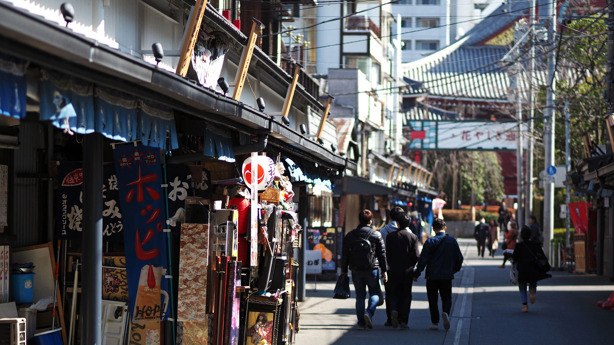 ＨＯＴＥＬ　ＷＩＮＤＳ　ＡＳＡＫＵＳＡ　Ｃａｐｓｕｌｅ　Ｉｎｎ - 写真 87