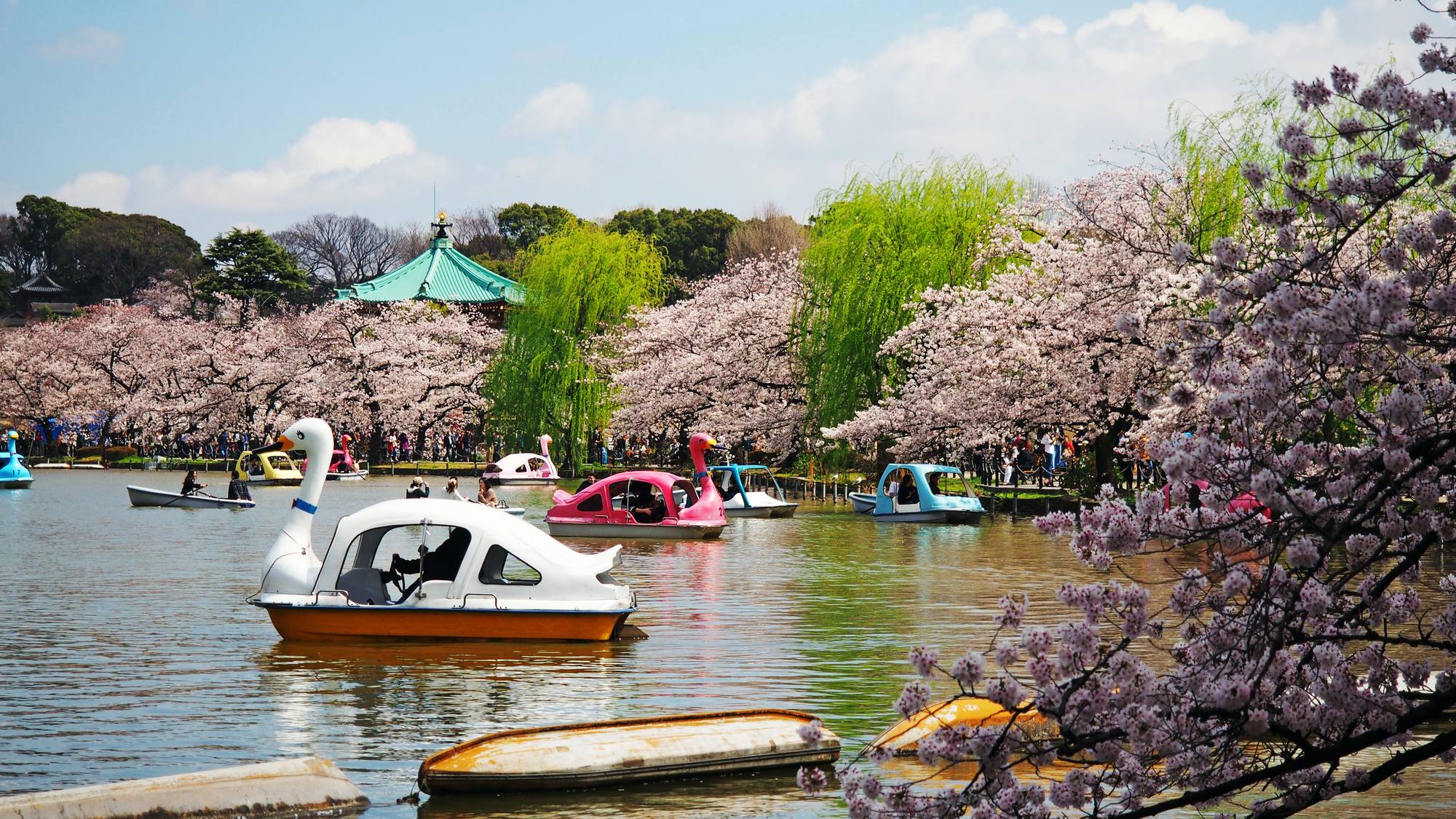 ＨＯＴＥＬ　ＷＩＮＤＳ　ＡＳＡＫＵＳＡ　Ｃａｐｓｕｌｅ　Ｉｎｎ - 写真 80