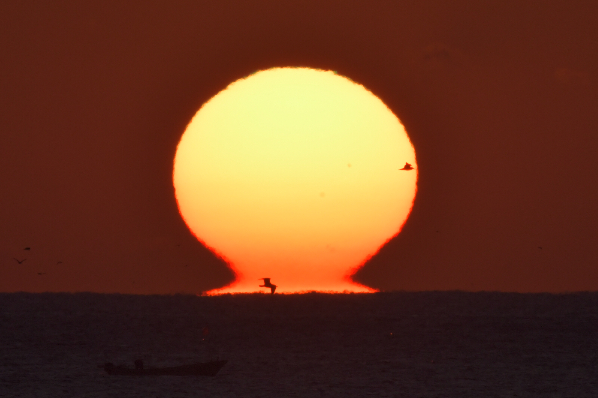 だるま太陽　大須賀