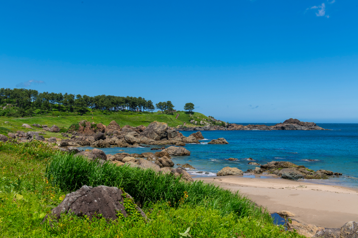 種差海岸の風景