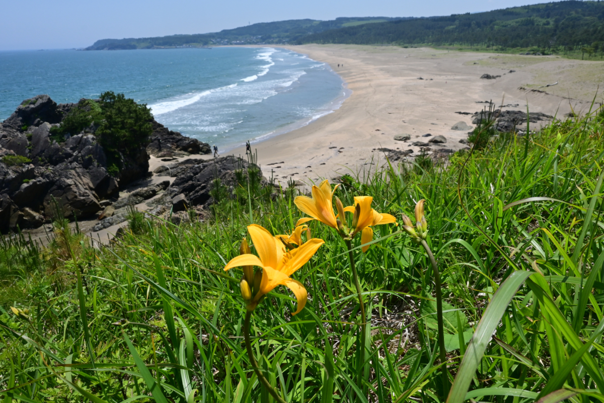 種差海岸の風景