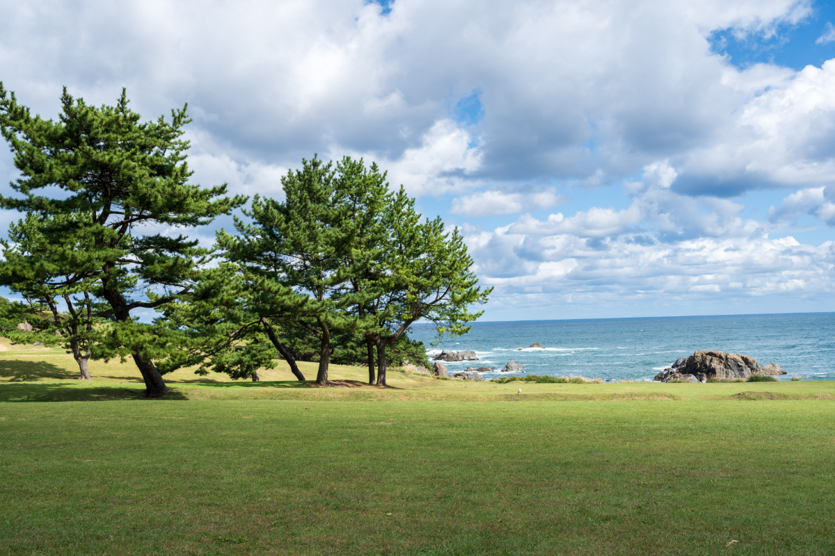 種差海岸の風景
