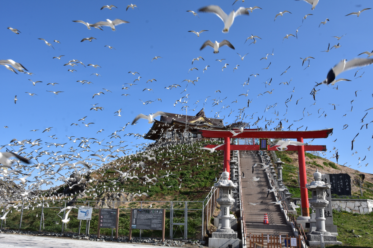 蕪島神社の風景