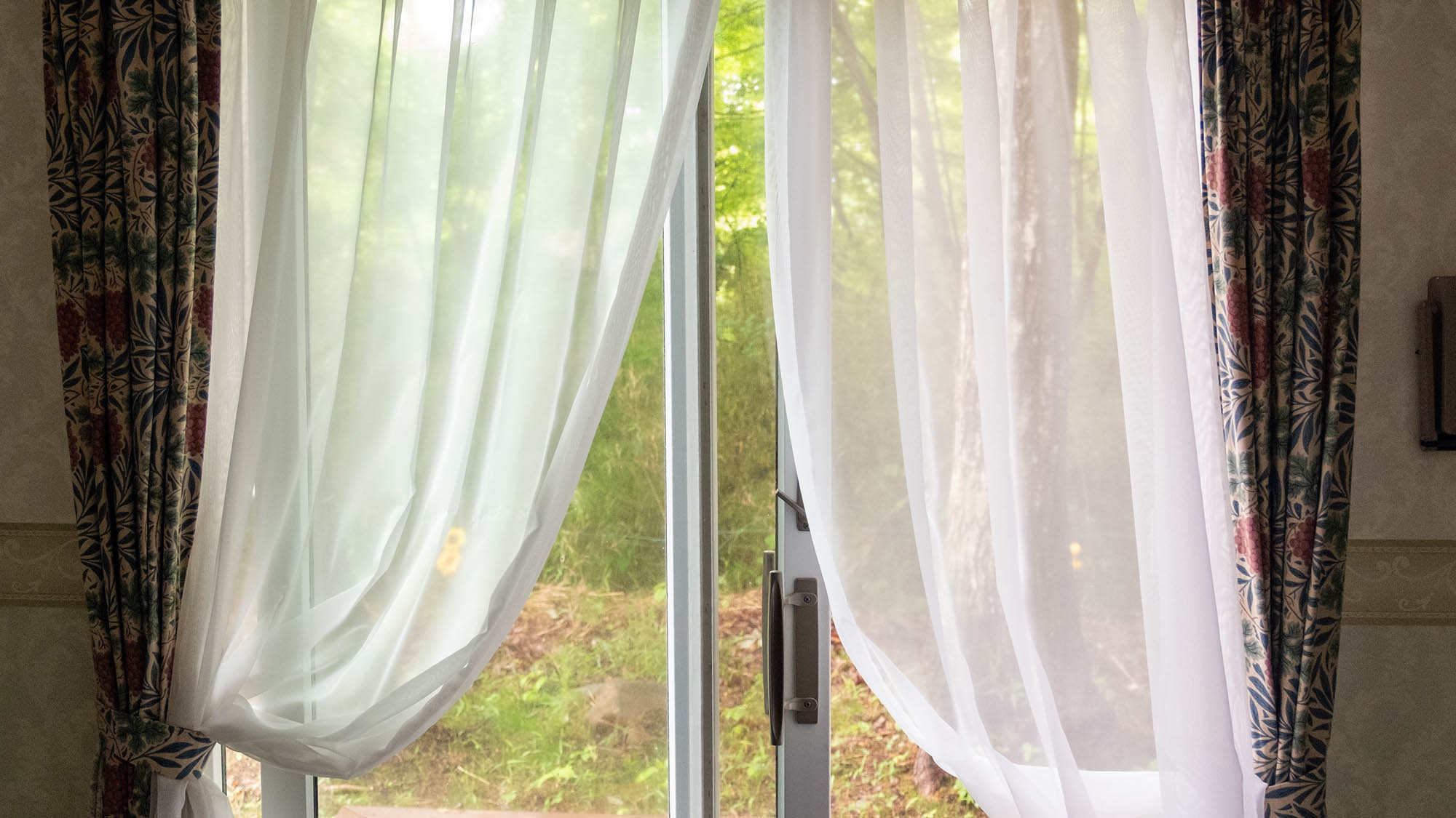 ・【客室】窓の外には豊かな自然が広がります。喧騒から離れた癒し旅を当宿でお楽しみください