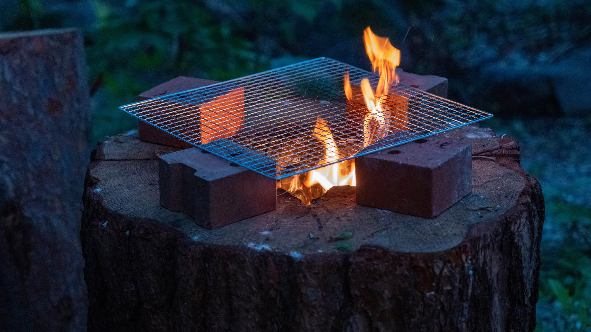 ・【BBQ】那須塩原の自然の中でバーベキューが可能です。ご希望のお客様は当館までお問い合わせください