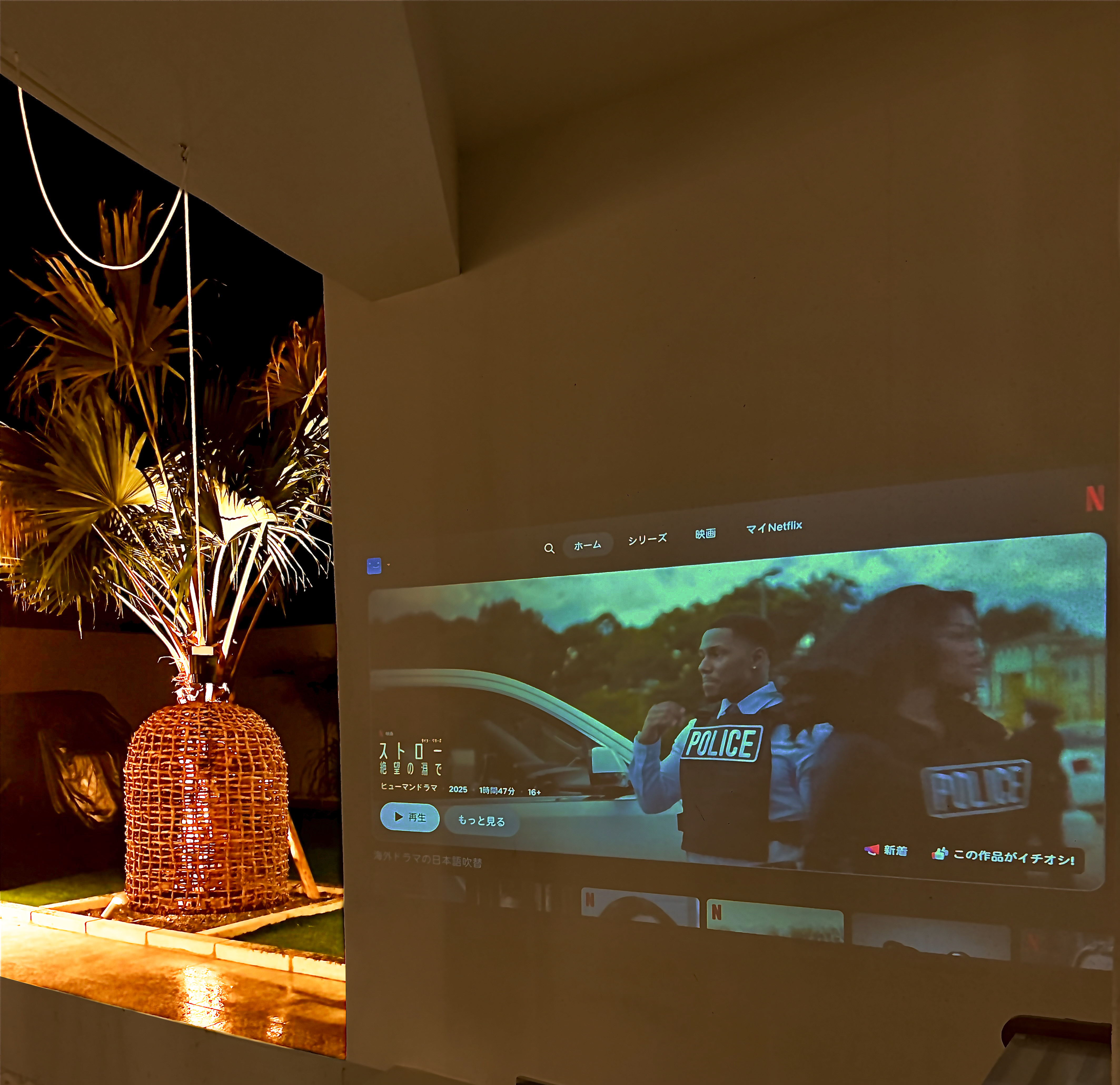 プールバープロジェクター