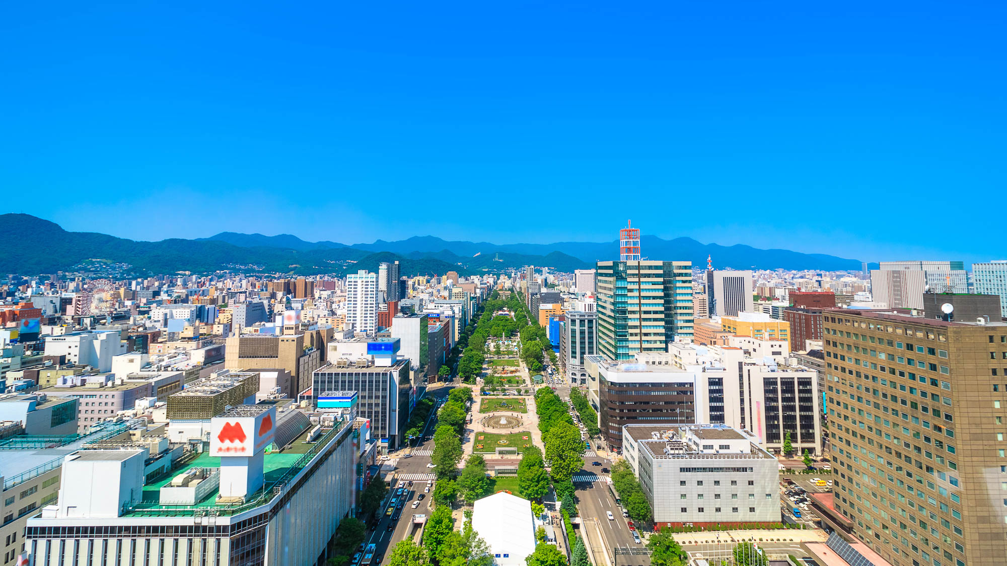 街の中心・大通公園で、写真も思い出もいっぱい。