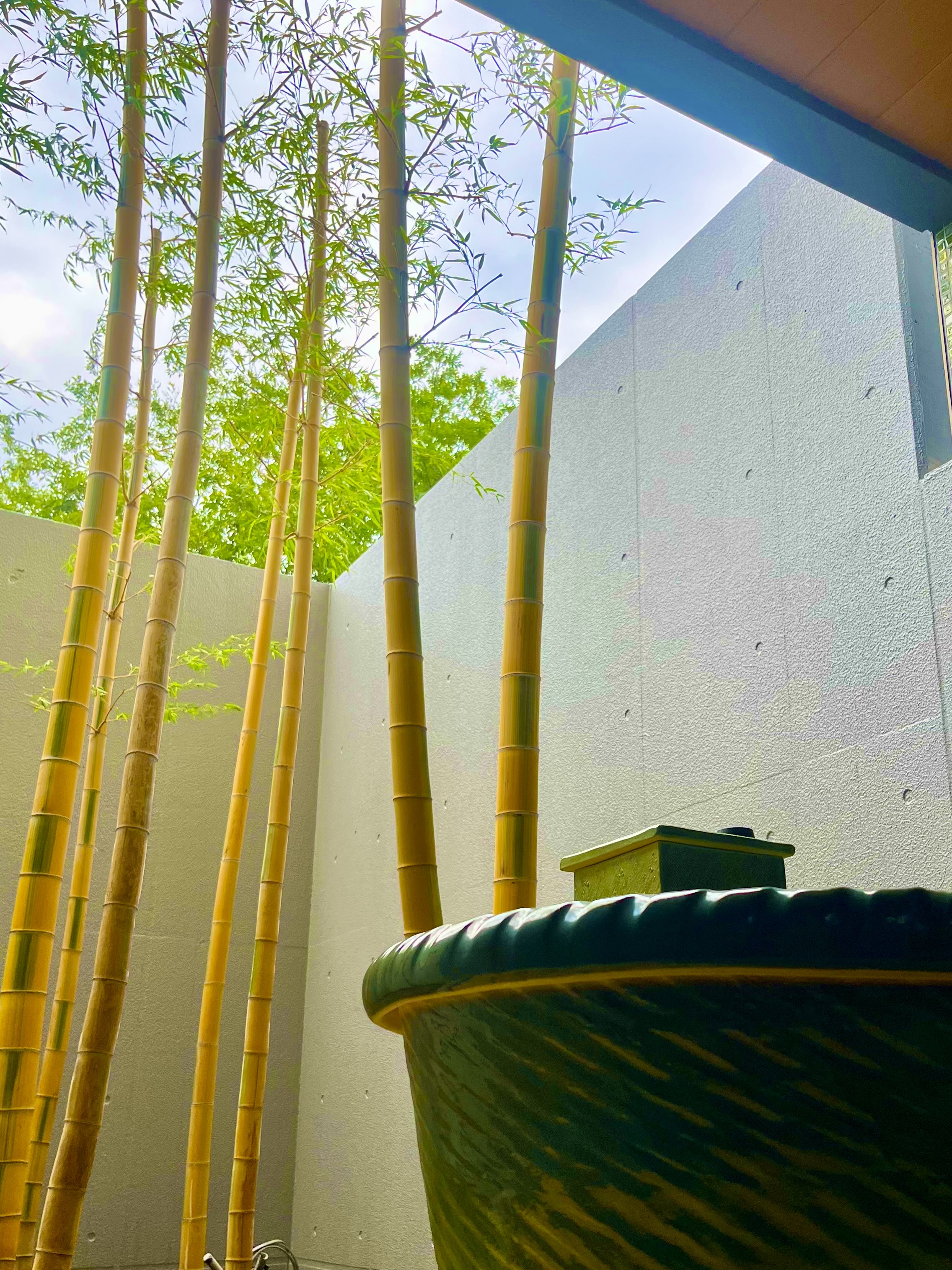 天然温泉かけ流し♬貸切個室！全室にサウナ完備☆